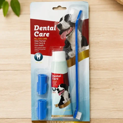 Kit Dental