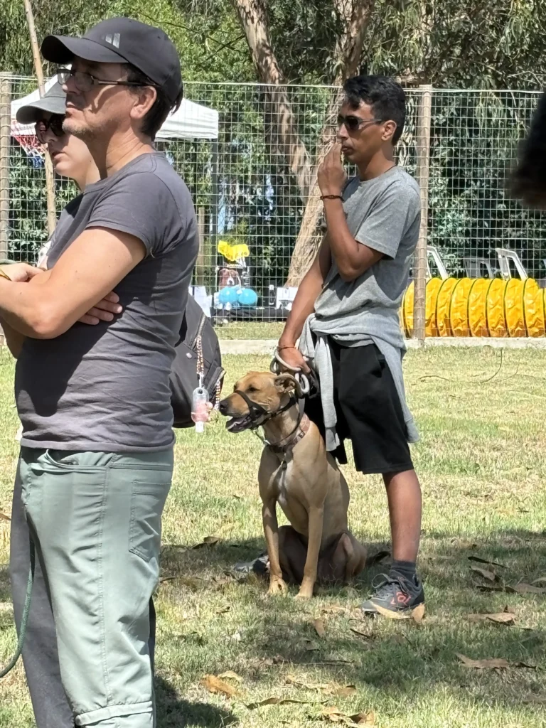 arc_pics_events (7)